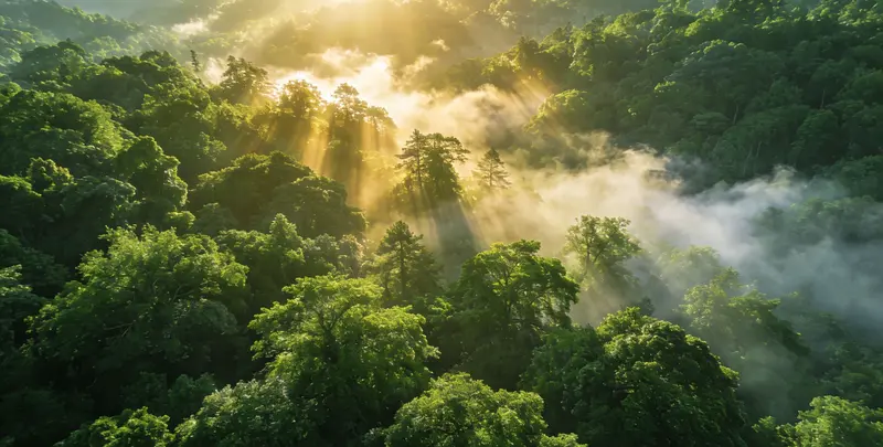 焦作肺癌靶向120基因检测（组织）图片1